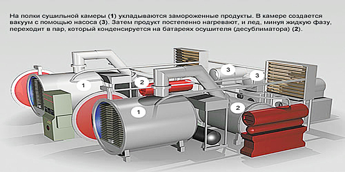 Сублимационная сушка лиофилизатор Технонагрев